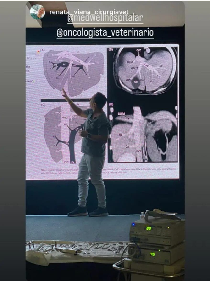 4ª Edição - Foto 5