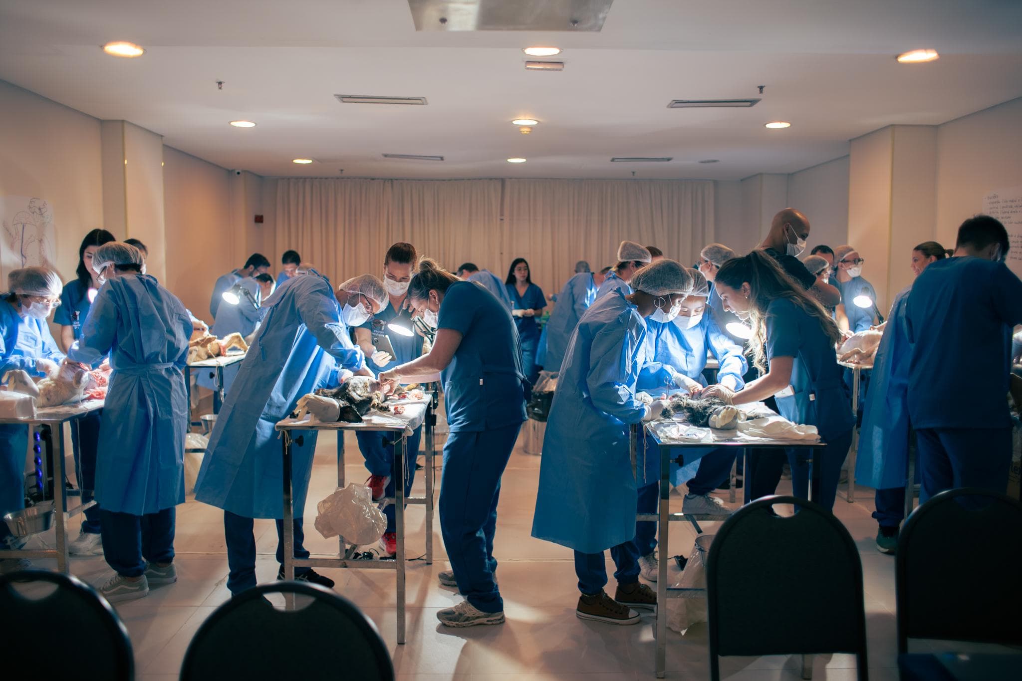 5ª Edição - Foto 7