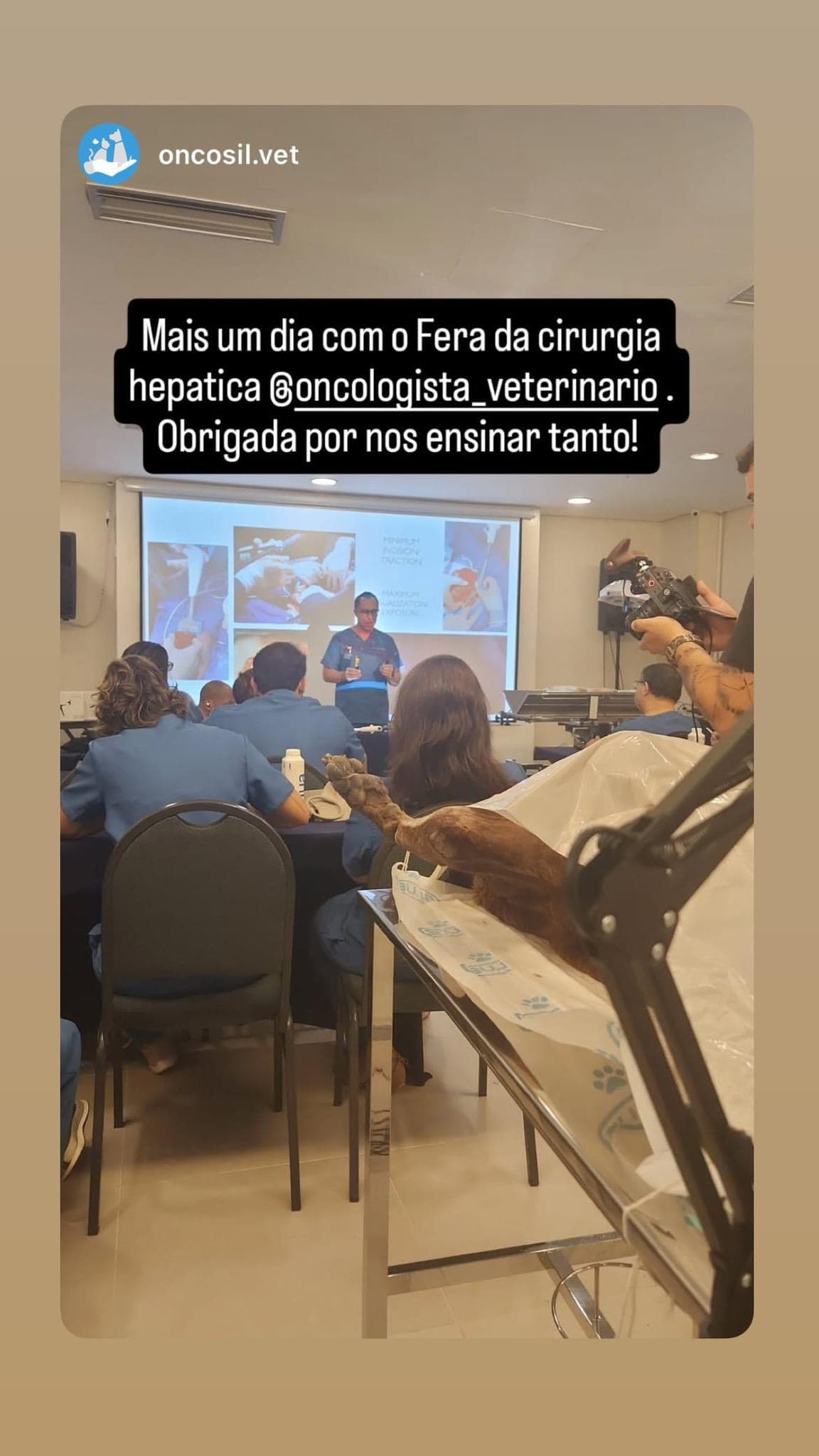 5ª Edição - Foto 11